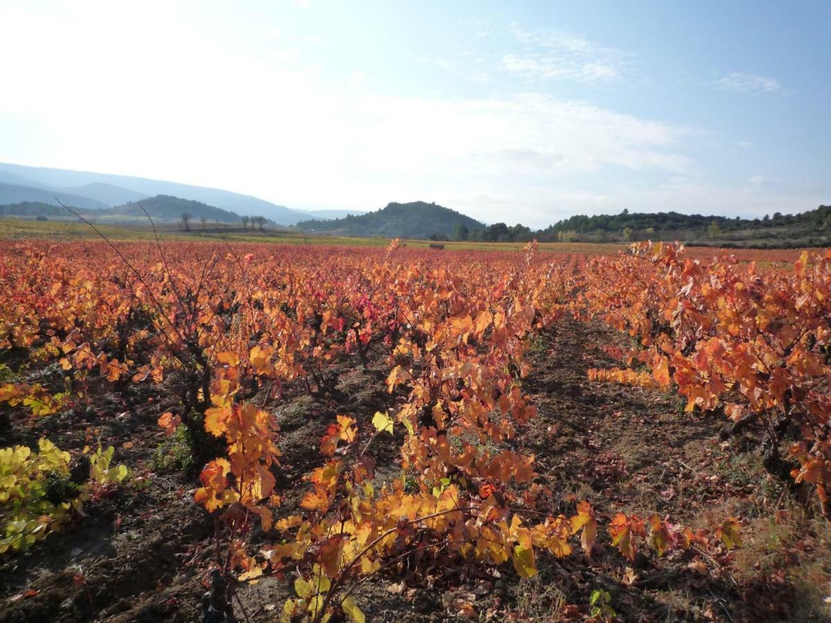 Chateau Villemagne Lagrasse Dış mekan fotoğraf